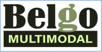 www.belgomultimodal.com